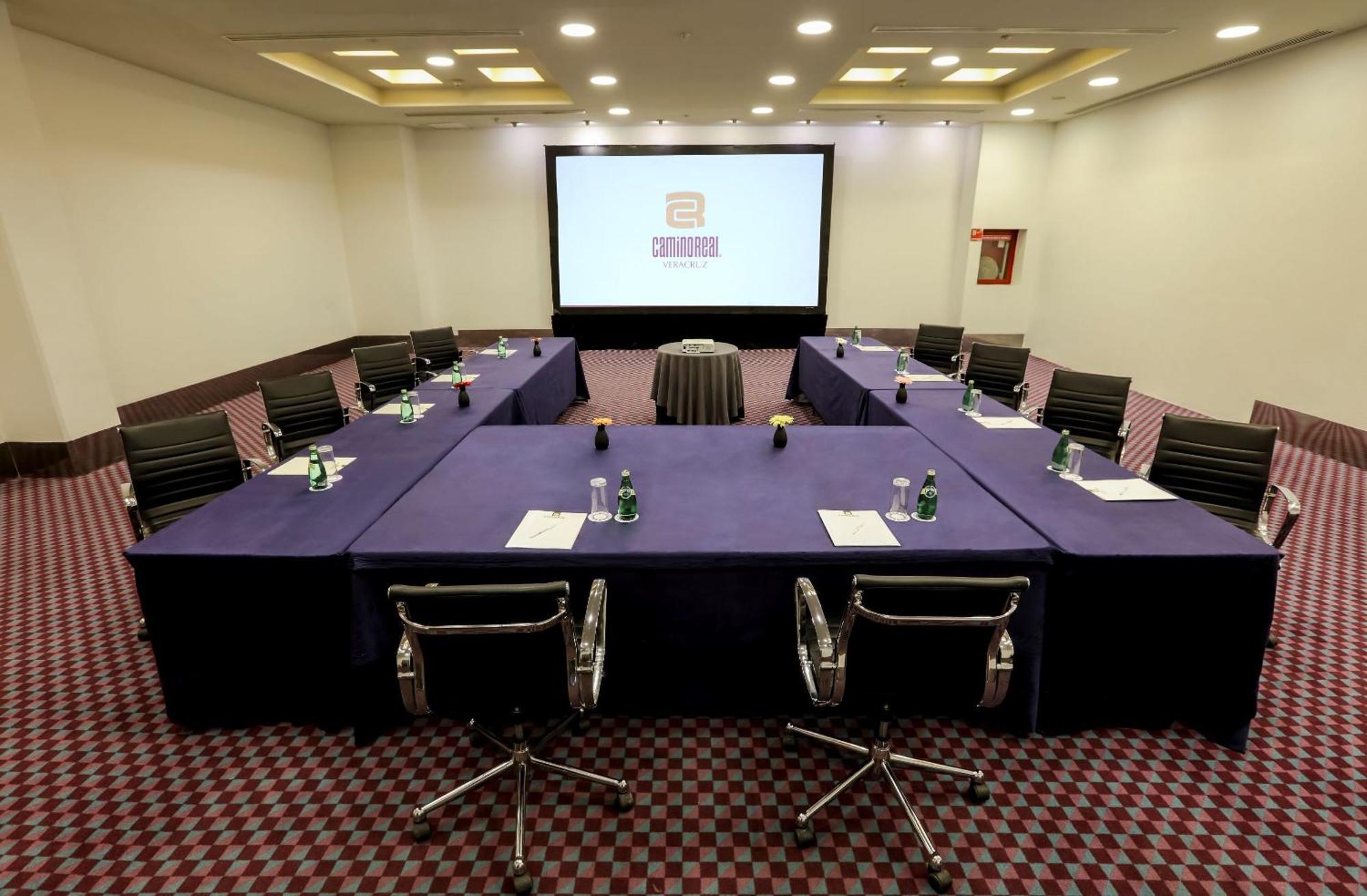 Camino Real Веракруз Екстериор снимка Meeting room